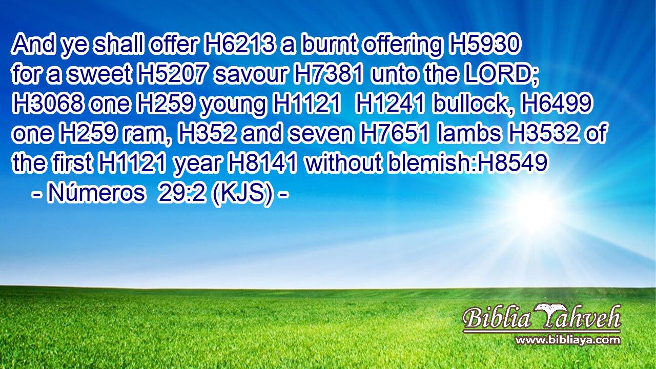 And ye shall offer H6213 a burnt offering H5930 for a sweet H5207 savour H7381 unto the LORD; H3068 one H259 young H1121  H1241 bullock, H6499 one H259 ram, H352 and seven H7651 lambs H3532 of the first H1121 year H8141 without blemish:H8549