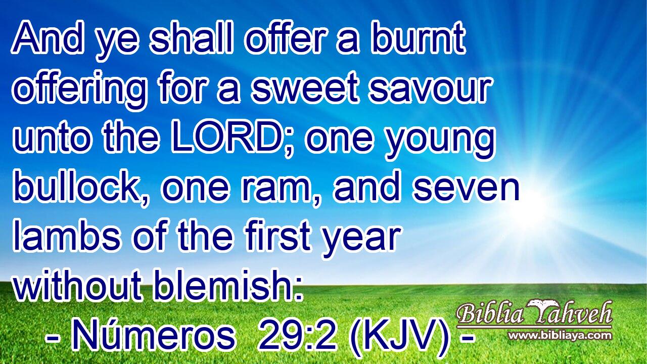 And ye shall offer a burnt offering for a sweet savour unto the LORD; one young bullock, one ram, and seven lambs of the first year without blemish: