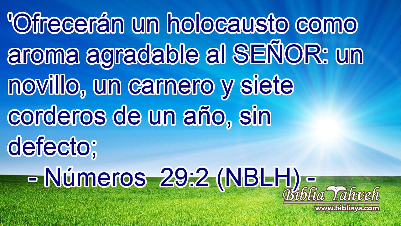 'Ofrecerán un holocausto como aroma agradable al SEÑOR: un novillo, un carnero y siete corderos de un año, sin defecto; 