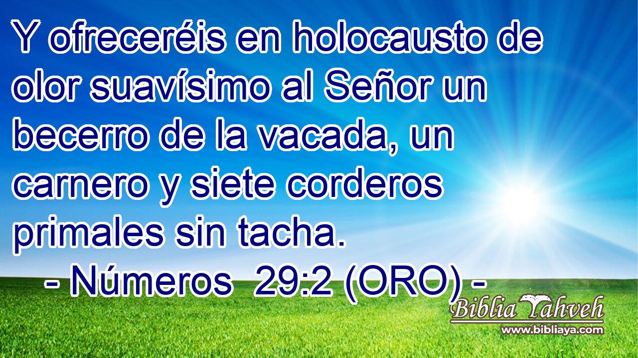  Y ofreceréis en holocausto de olor suavísimo al Señor un becerro de la vacada, un carnero y siete corderos primales sin tacha. 