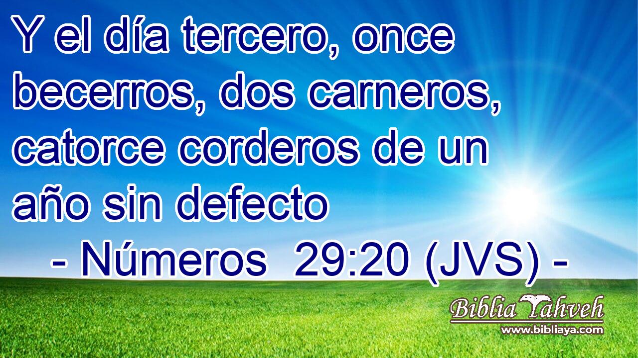 Y el día tercero, once becerros, dos carneros, catorce corderos de un año sin defecto