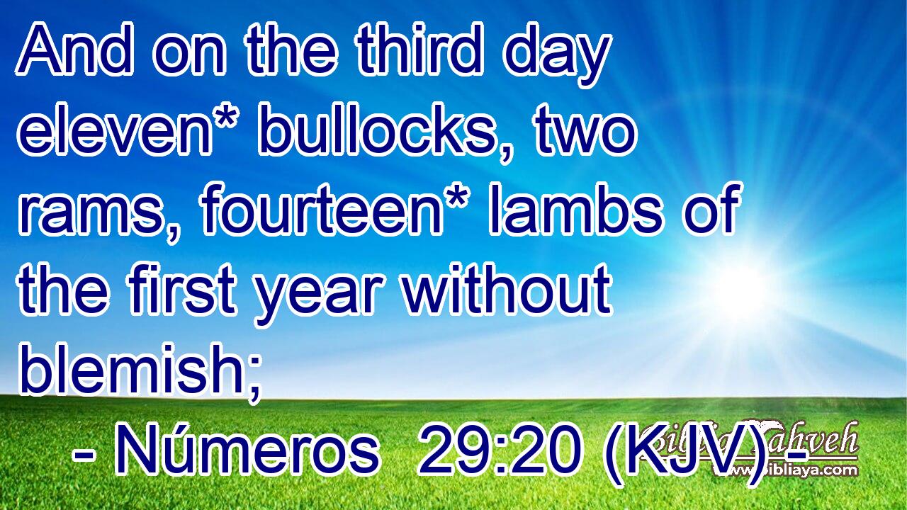 And on the third day eleven* bullocks, two rams, fourteen* lambs of the first year without blemish;