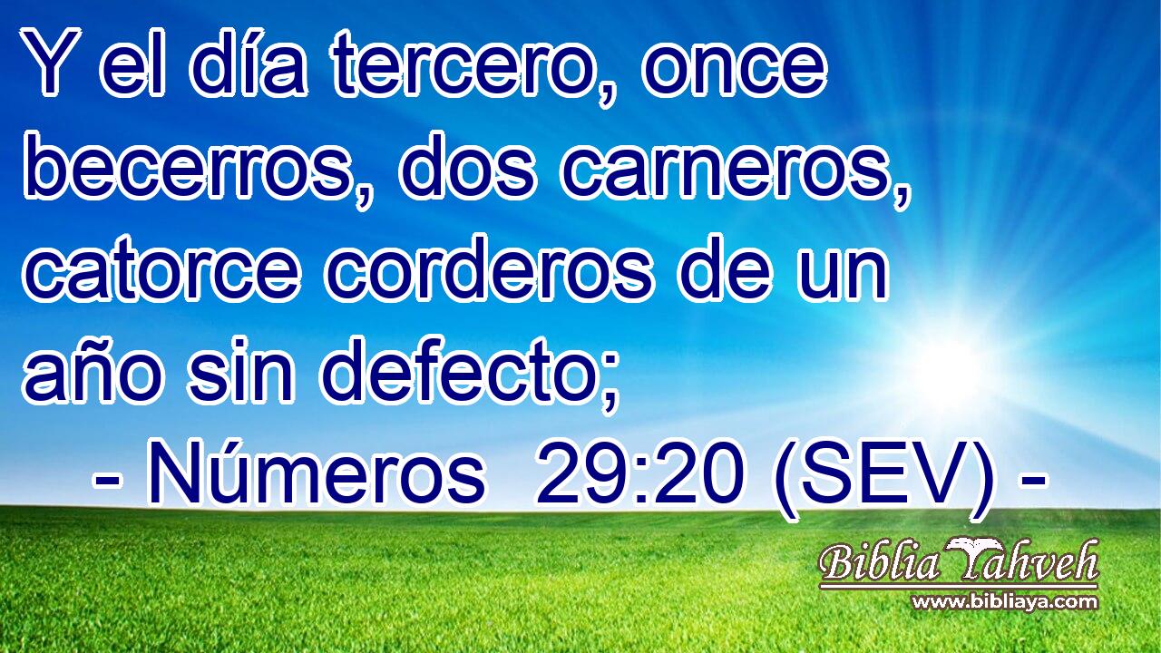 Y el día tercero, once becerros, dos carneros, catorce corderos de un año sin defecto;