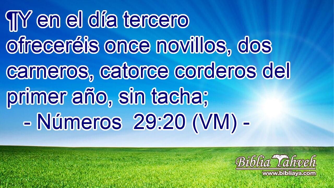  ¶Y en el día tercero ofreceréis once novillos, dos carneros, catorce corderos del primer año, sin tacha; 