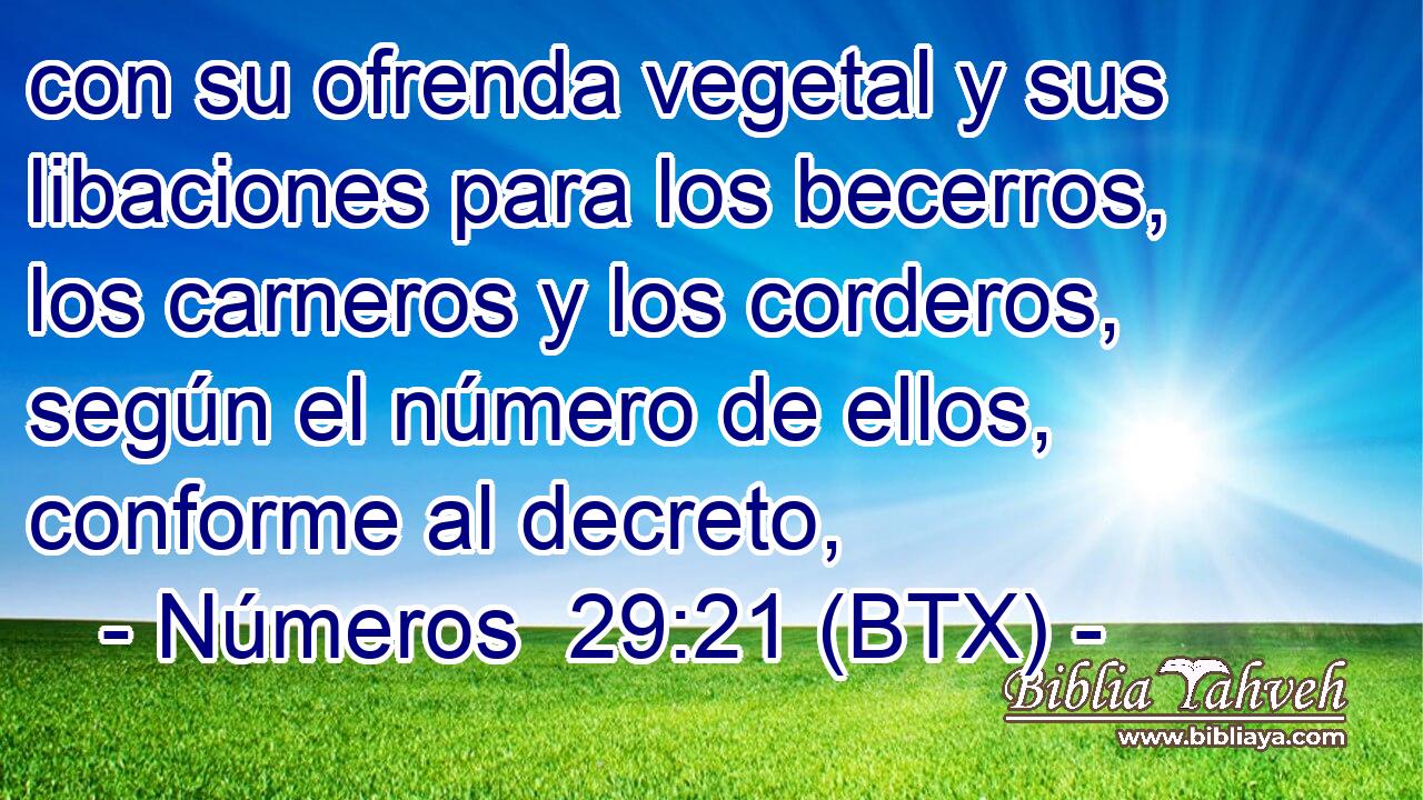 con su ofrenda vegetal y sus libaciones para los becerros, los carneros y los corderos, según el número de ellos, conforme al decreto,