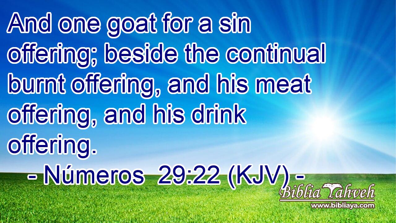 And one goat for a sin offering; beside the continual burnt offering, and his meat offering, and his drink offering.