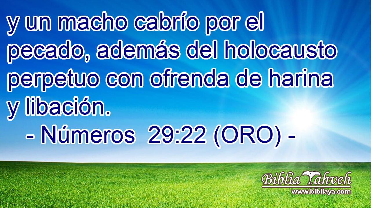  y un macho cabrío por el pecado, además del holocausto perpetuo con ofrenda de harina y libación. 