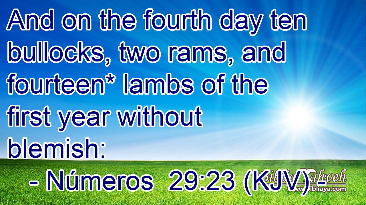 And on the fourth day ten bullocks, two rams, and fourteen* lambs of the first year without blemish: