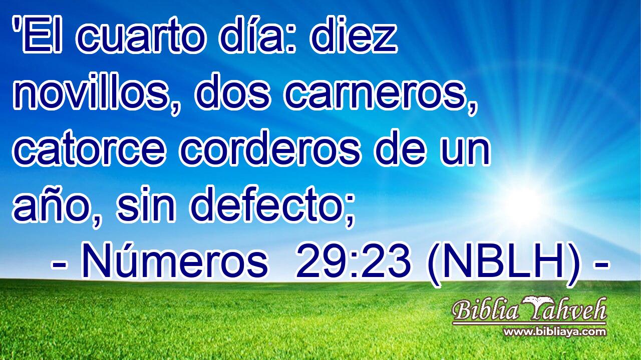  'El cuarto día: diez novillos, dos carneros, catorce corderos de un año, sin defecto; 