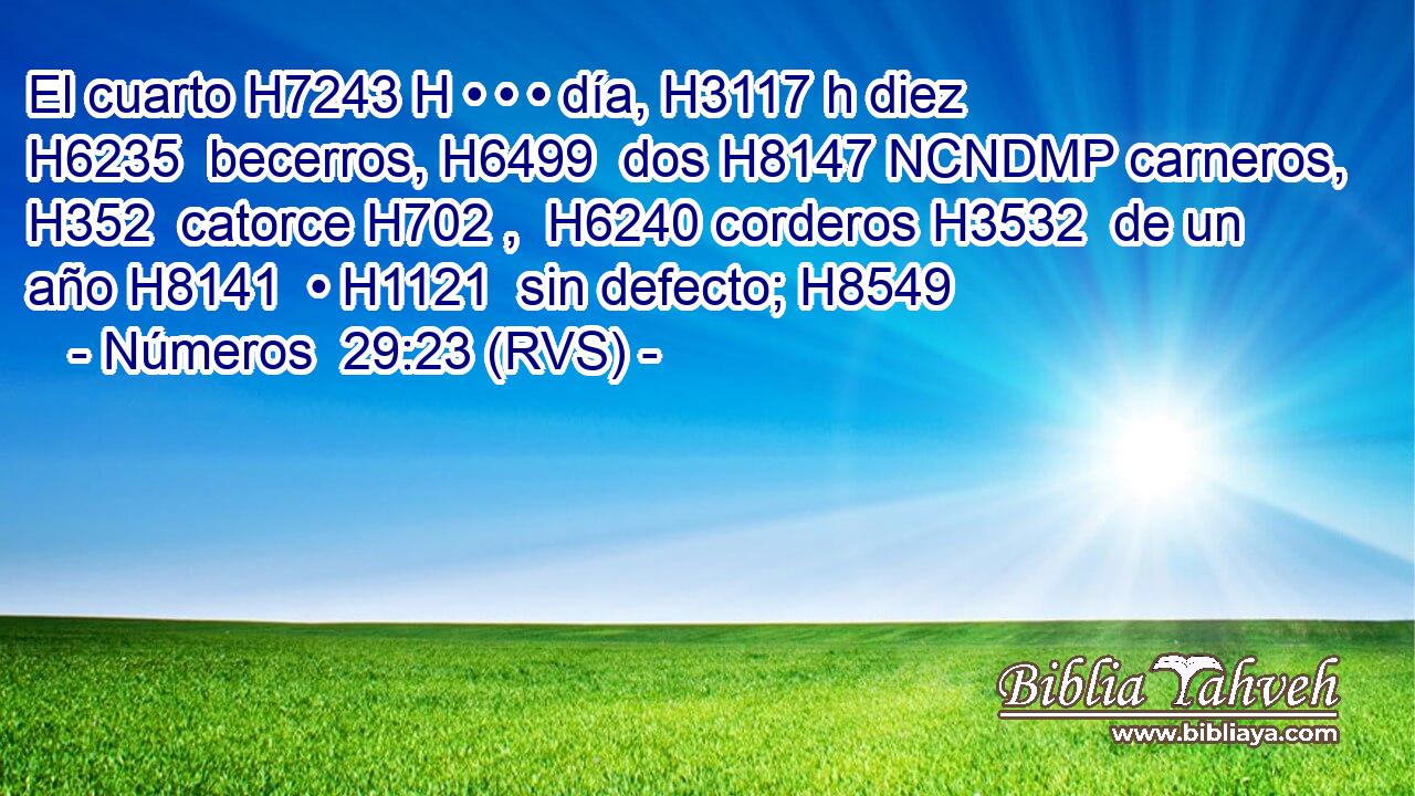 El cuarto H7243 H • • • día, H3117 h diez H6235  becerros, H6499  dos H8147 NCNDMP carneros, H352  catorce H702 ,  H6240 corderos H3532  de un año H8141  • H1121  sin defecto; H8549  