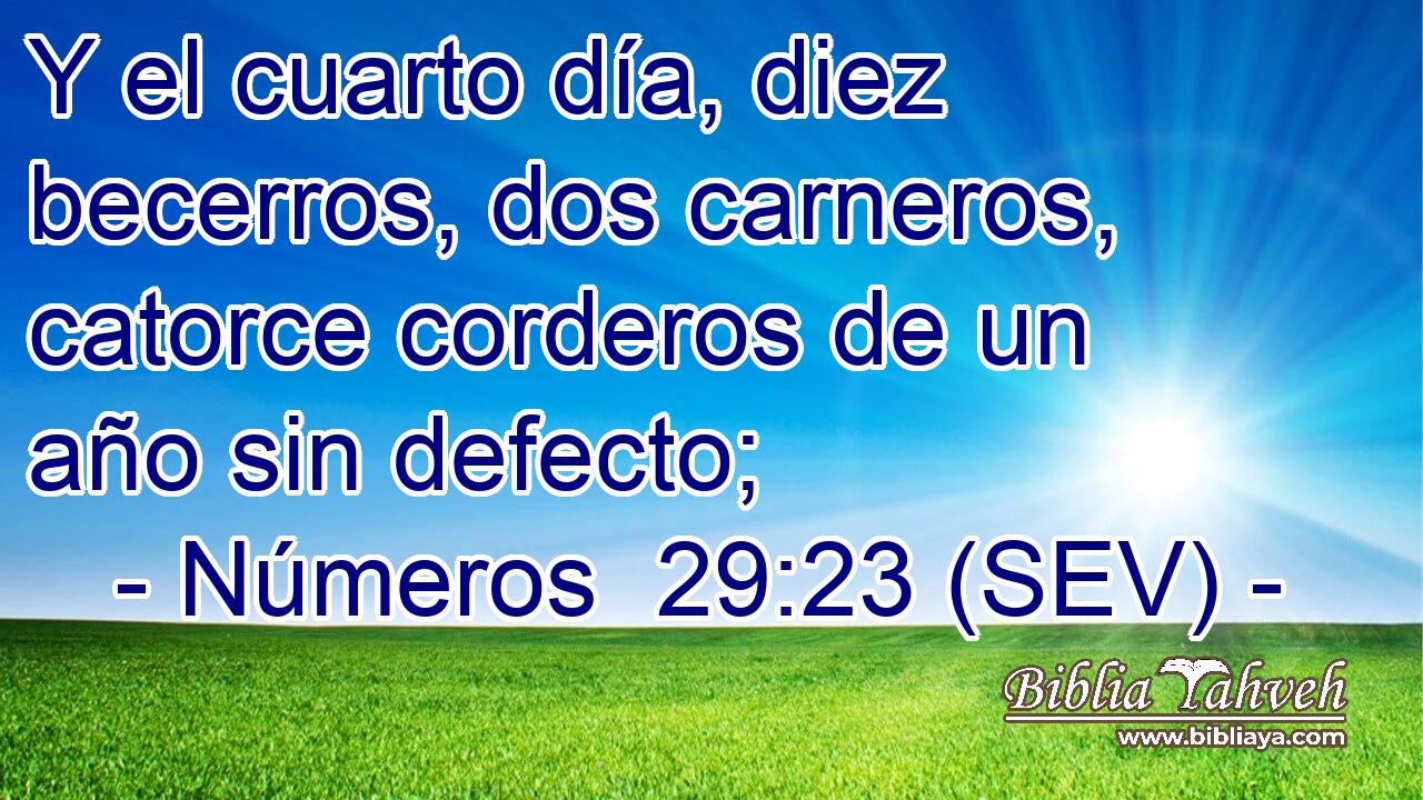 Y el cuarto día, diez becerros, dos carneros, catorce corderos de un año sin defecto;