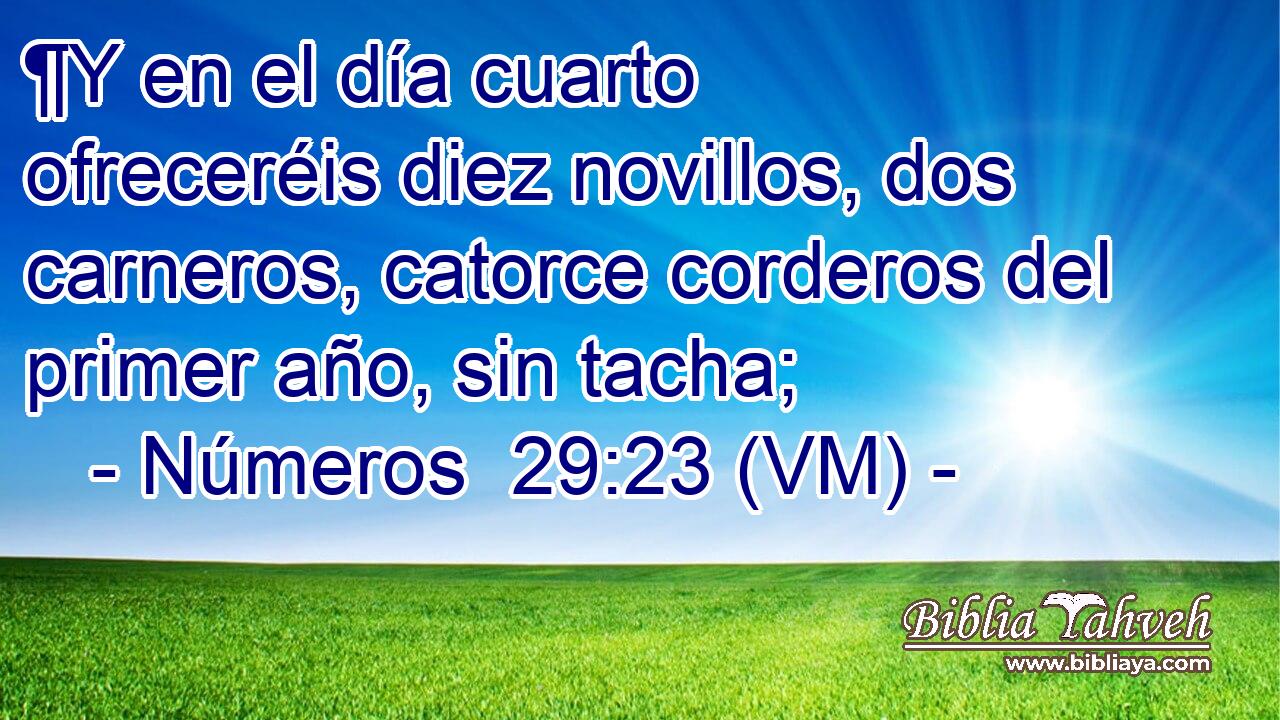  ¶Y en el día cuarto ofreceréis diez novillos, dos carneros, catorce corderos del primer año, sin tacha; 