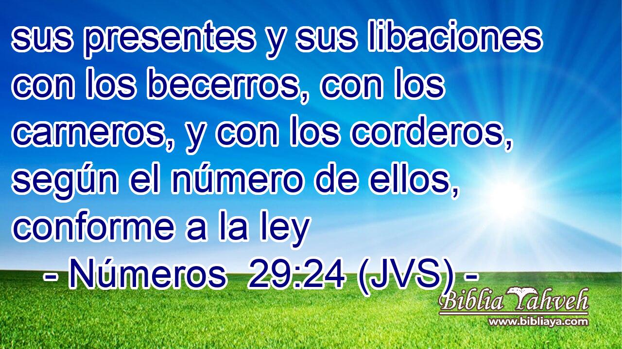 sus presentes y sus libaciones con los becerros, con los carneros, y con los corderos, según el número de ellos, conforme a la ley