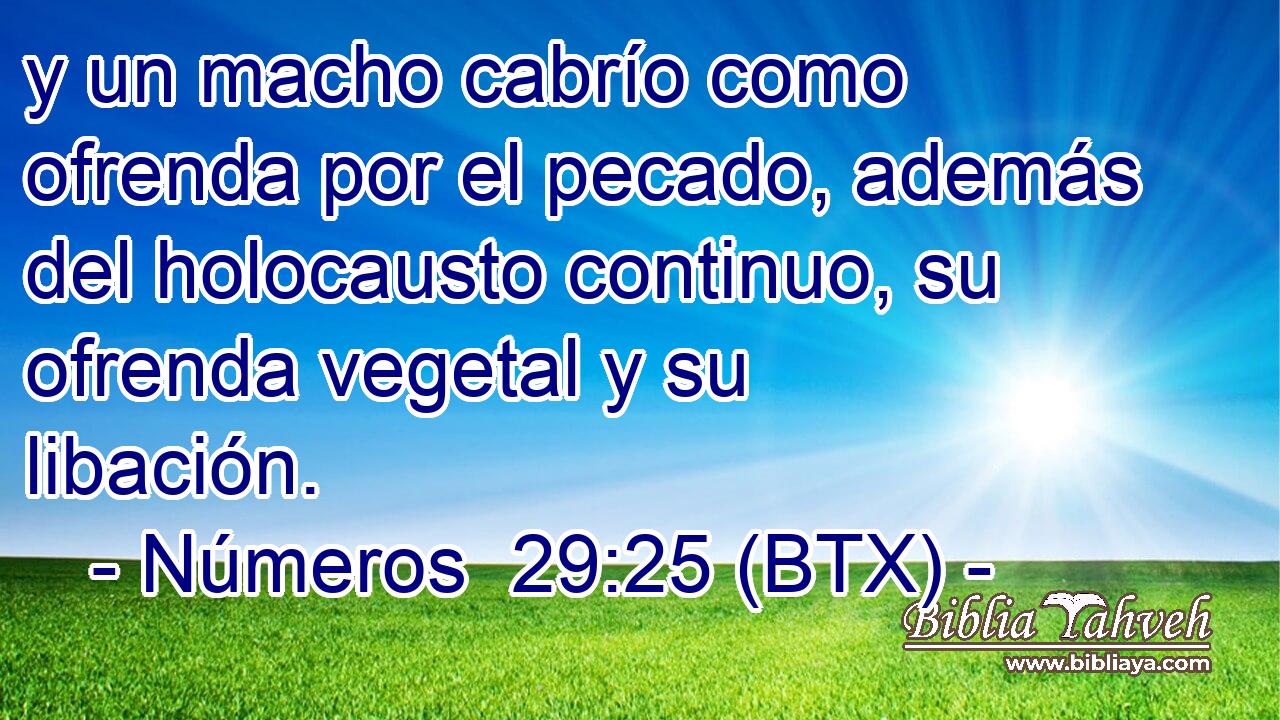 y un macho cabrío como ofrenda por el pecado, además del holocausto continuo, su ofrenda vegetal y su libación.