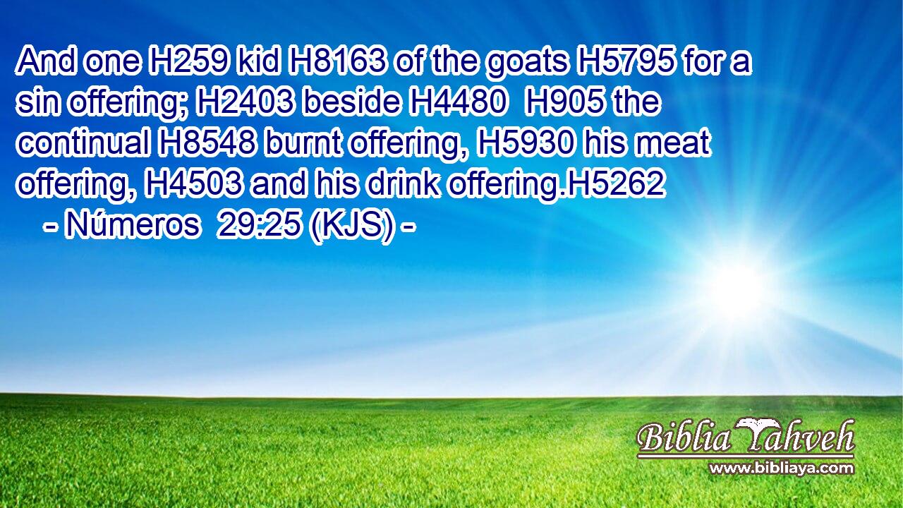 And one H259 kid H8163 of the goats H5795 for a sin offering; H2403 beside H4480  H905 the continual H8548 burnt offering, H5930 his meat offering, H4503 and his drink offering.H5262
