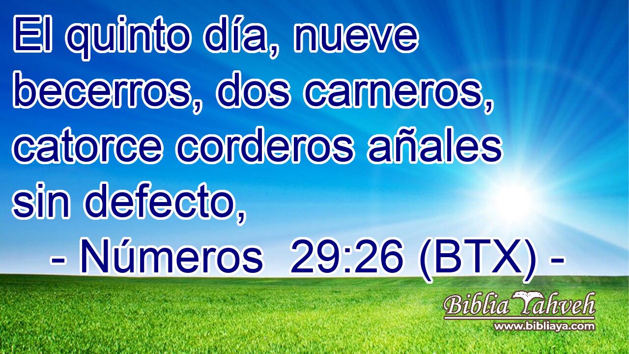 El quinto día, nueve becerros, dos carneros, catorce corderos añales sin defecto,