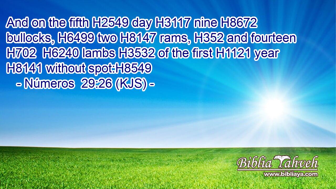 And on the fifth H2549 day H3117 nine H8672 bullocks, H6499 two H8147 rams, H352 and fourteen H702  H6240 lambs H3532 of the first H1121 year H8141 without spot:H8549