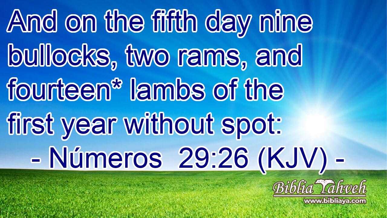 And on the fifth day nine bullocks, two rams, and fourteen* lambs of the first year without spot: