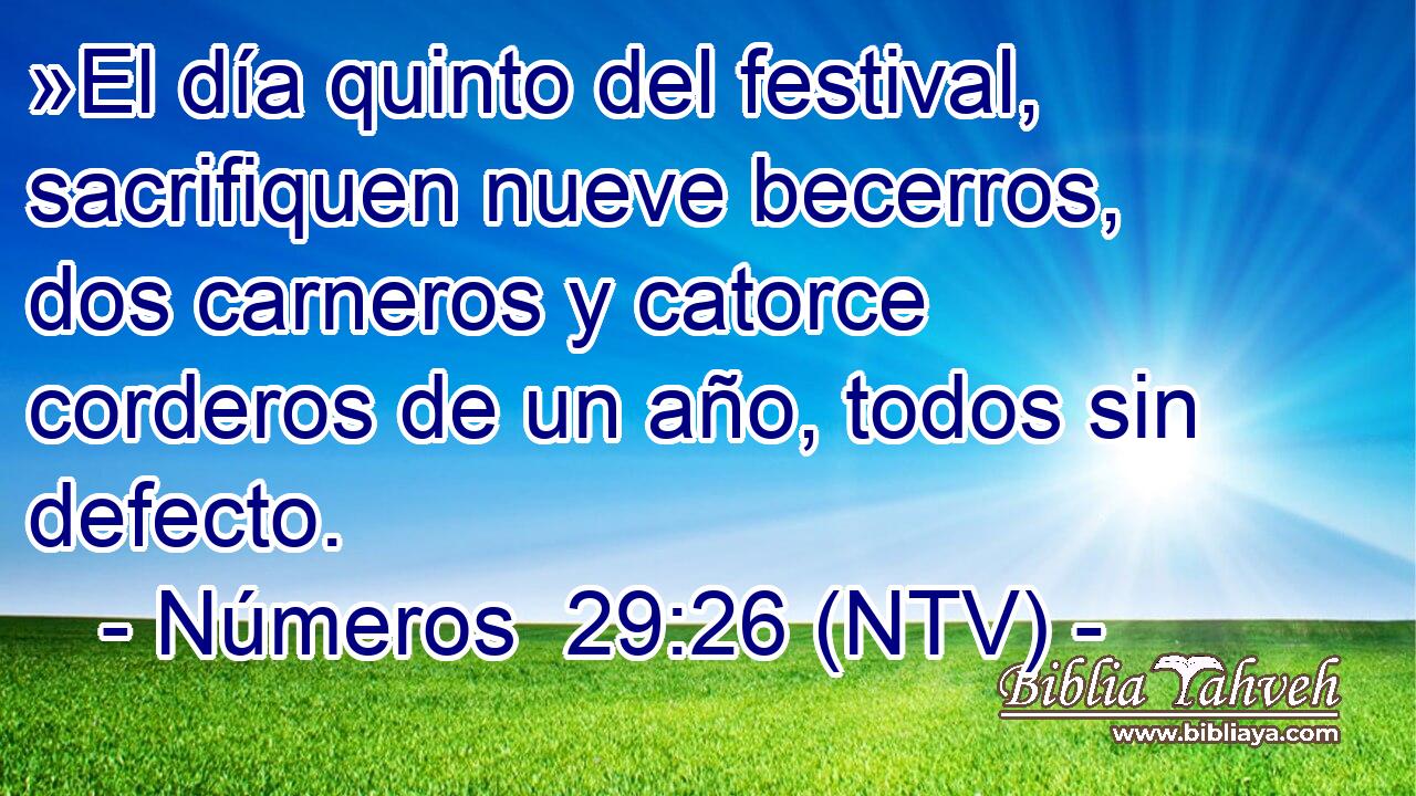 »El día quinto del festival, sacrifiquen nueve becerros, dos carneros y catorce corderos de un año, todos sin defecto.