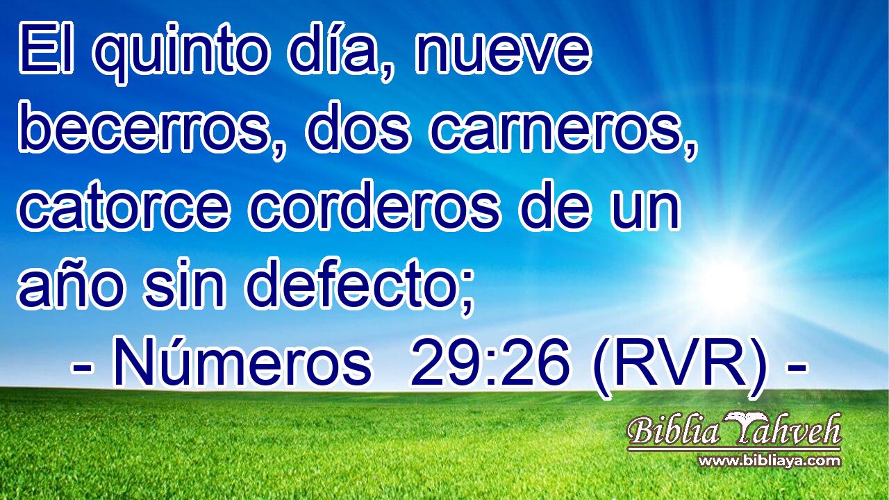 El quinto día, nueve becerros, dos carneros, catorce corderos de un año sin defecto;