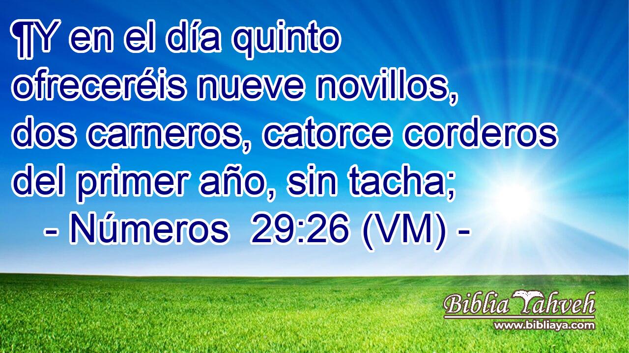  ¶Y en el día quinto ofreceréis nueve novillos, dos carneros, catorce corderos del primer año, sin tacha; 