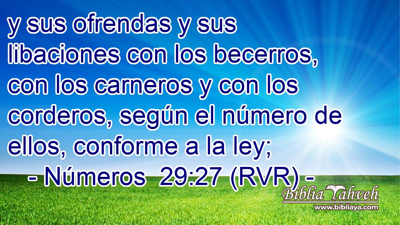 y sus ofrendas y sus libaciones con los becerros, con los carneros y con los corderos, según el número de ellos, conforme a la ley;