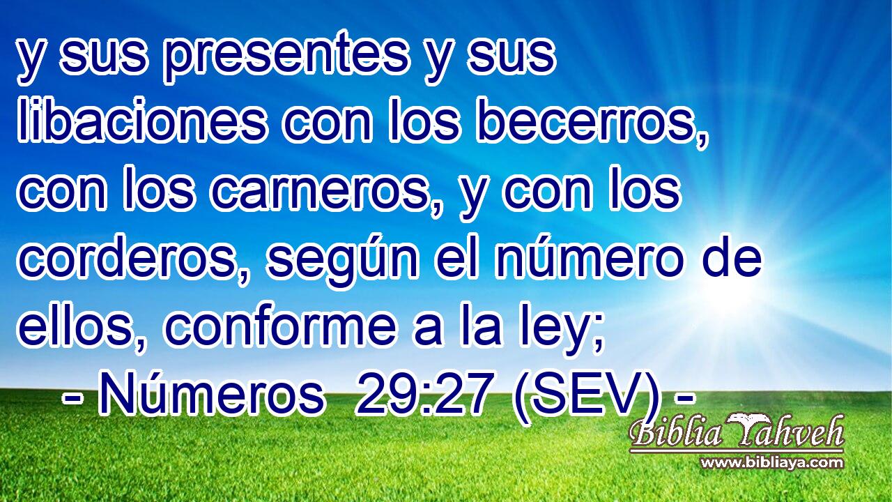 y sus presentes y sus libaciones con los becerros, con los carneros, y con los corderos, según el número de ellos, conforme a la ley;