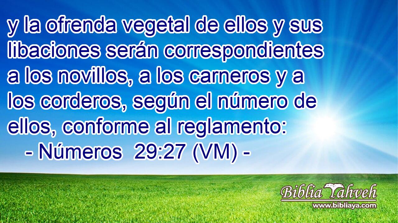  y la ofrenda vegetal de ellos y sus libaciones serán correspondientes a los novillos, a los carneros y a los corderos, según el número de ellos, conforme al reglamento: 