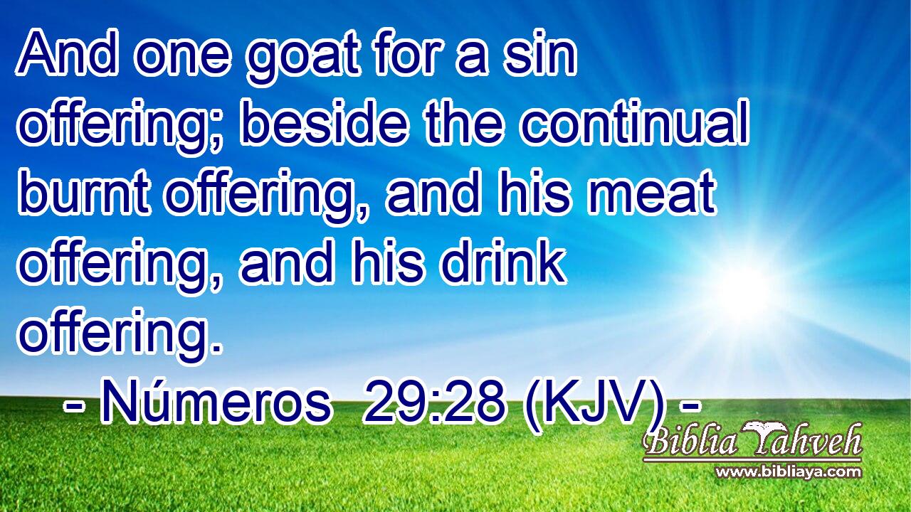 And one goat for a sin offering; beside the continual burnt offering, and his meat offering, and his drink offering.