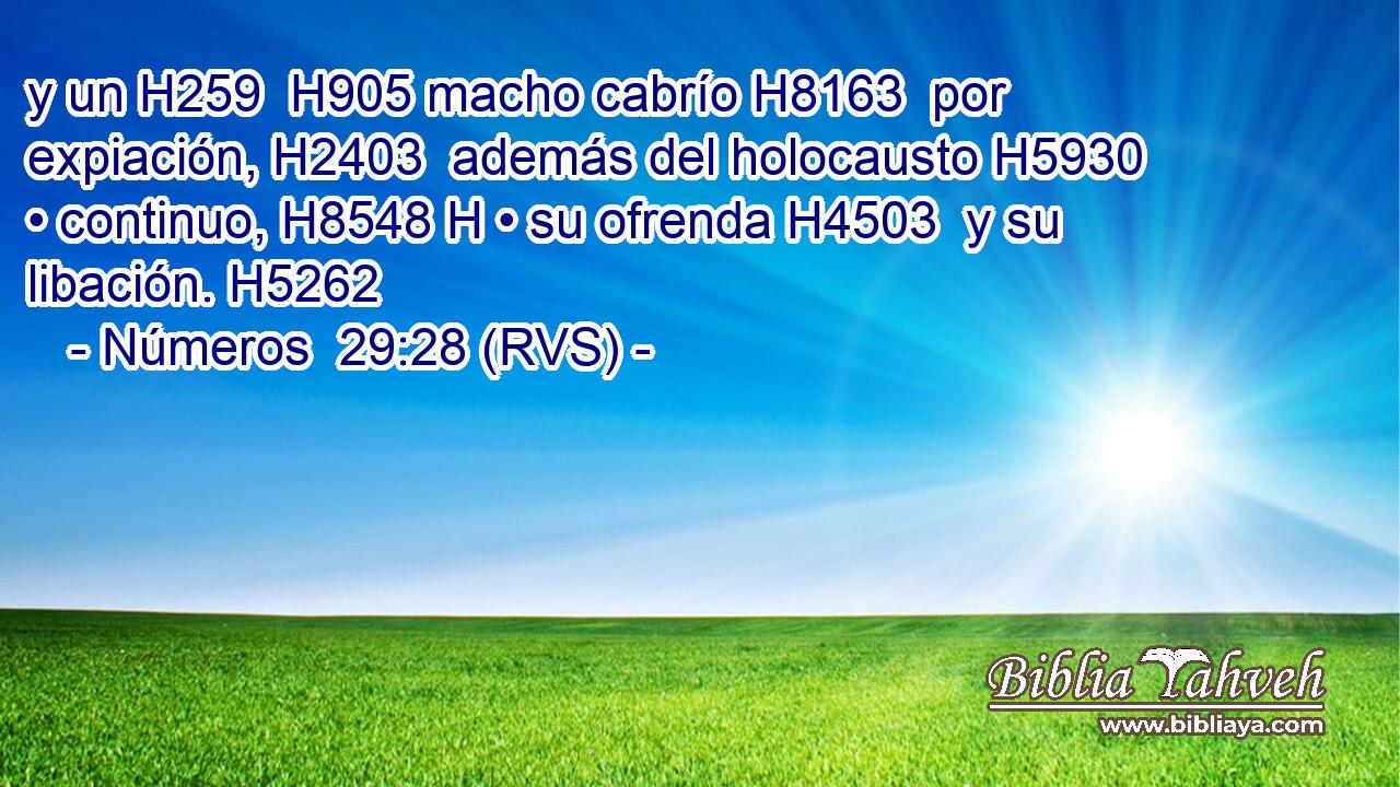 y un H259  H905 macho cabrío H8163  por expiación, H2403  además del holocausto H5930  • continuo, H8548 H • su ofrenda H4503  y su libación. H5262  