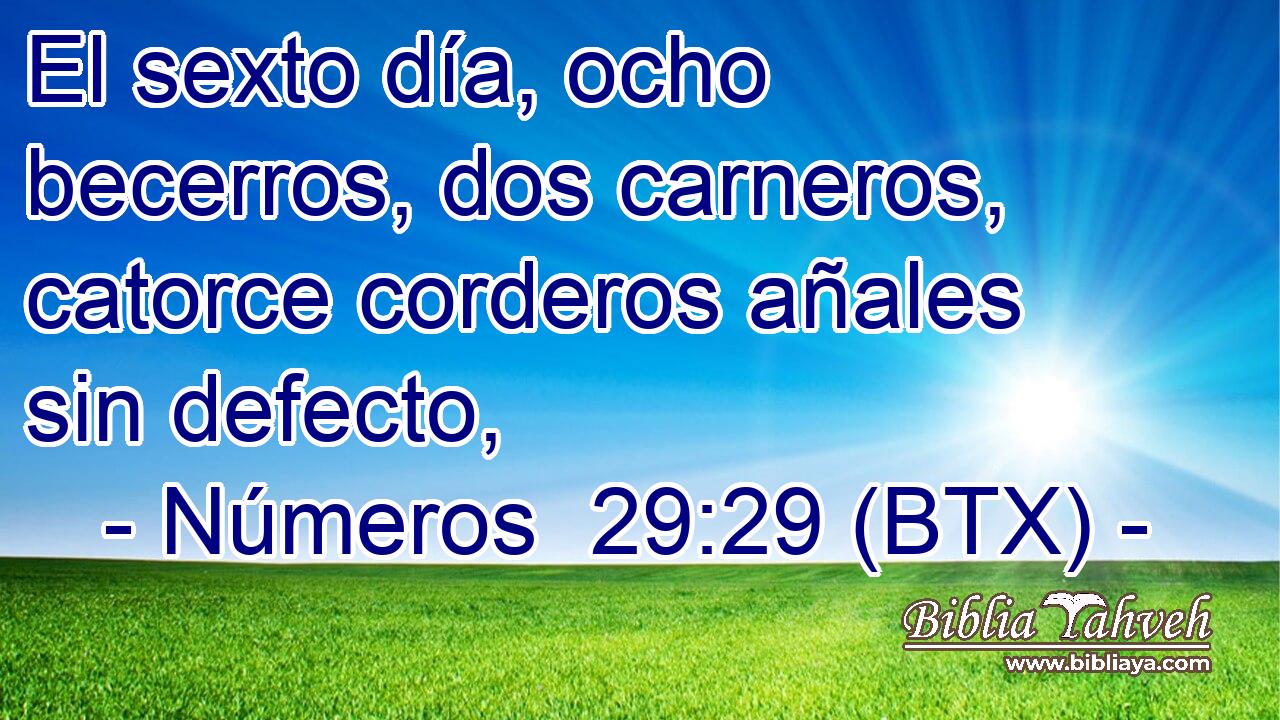 El sexto día, ocho becerros, dos carneros, catorce corderos añales sin defecto,