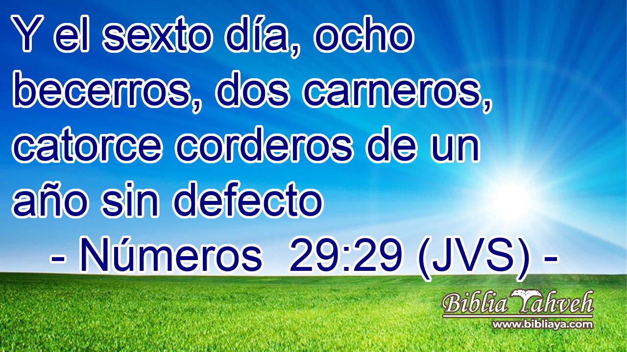 Y el sexto día, ocho becerros, dos carneros, catorce corderos de un año sin defecto