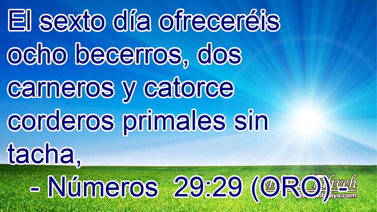  El sexto día ofreceréis ocho becerros, dos carneros y catorce corderos primales sin tacha, 