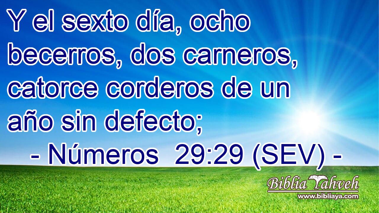 Y el sexto día, ocho becerros, dos carneros, catorce corderos de un año sin defecto;