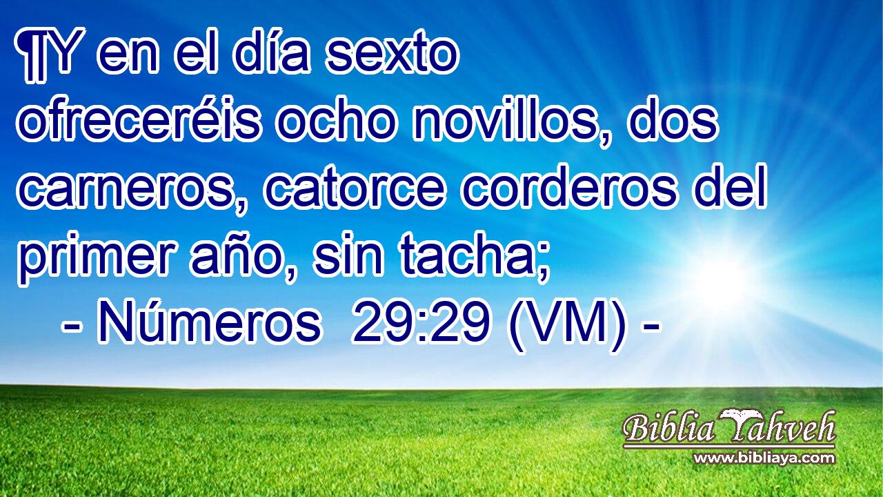  ¶Y en el día sexto ofreceréis ocho novillos, dos carneros, catorce corderos del primer año, sin tacha; 