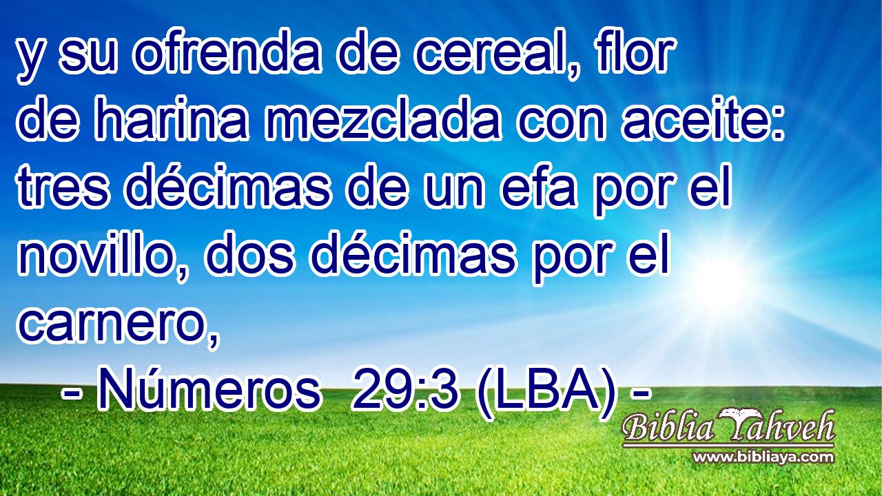 y su ofrenda de cereal, flor de harina mezclada con aceite: tres décimas de un efa por el novillo, dos décimas por el carnero,