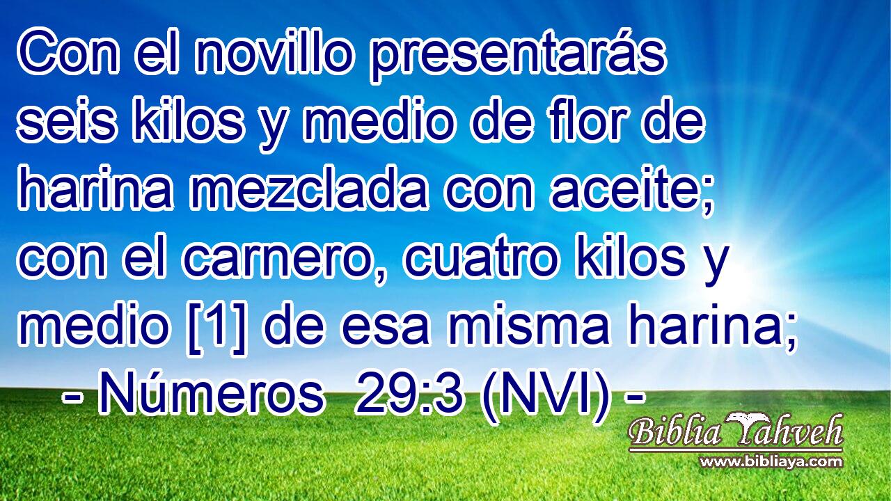  Con el novillo presentarás seis kilos y medio de flor de harina mezclada con aceite; con el carnero, cuatro kilos y medio [1] de esa misma harina; 
