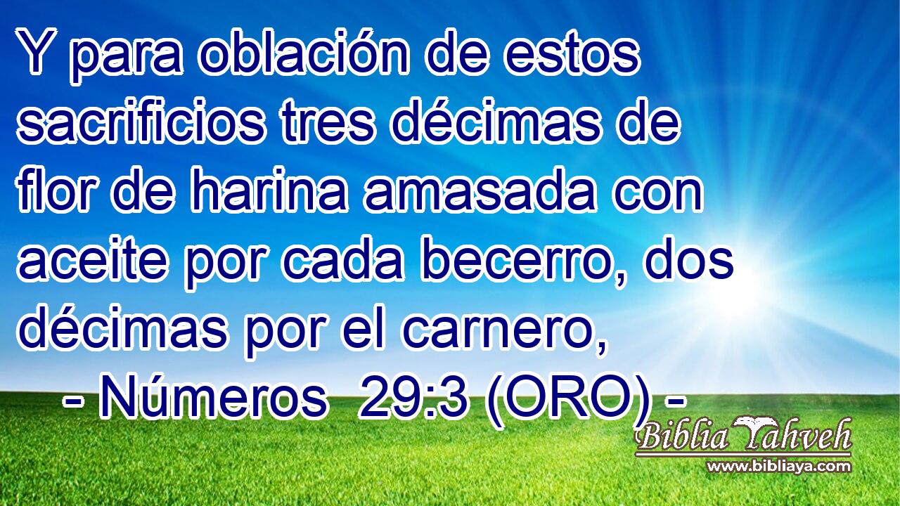  Y para oblación de estos sacrificios tres décimas de flor de harina amasada con aceite por cada becerro, dos décimas por el carnero, 