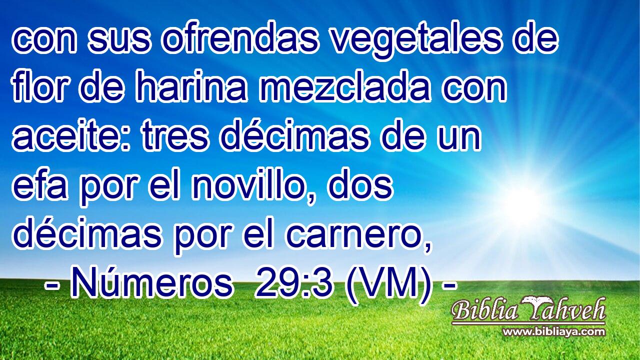  con sus ofrendas vegetales de flor de harina mezclada con aceite: tres décimas de un efa por el novillo, dos décimas por el carnero, 