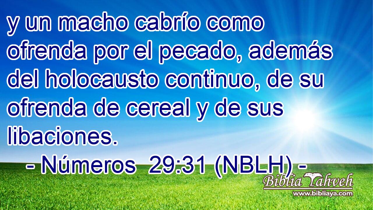  y un macho cabrío como ofrenda por el pecado, además del holocausto continuo, de su ofrenda de cereal y de sus libaciones. 