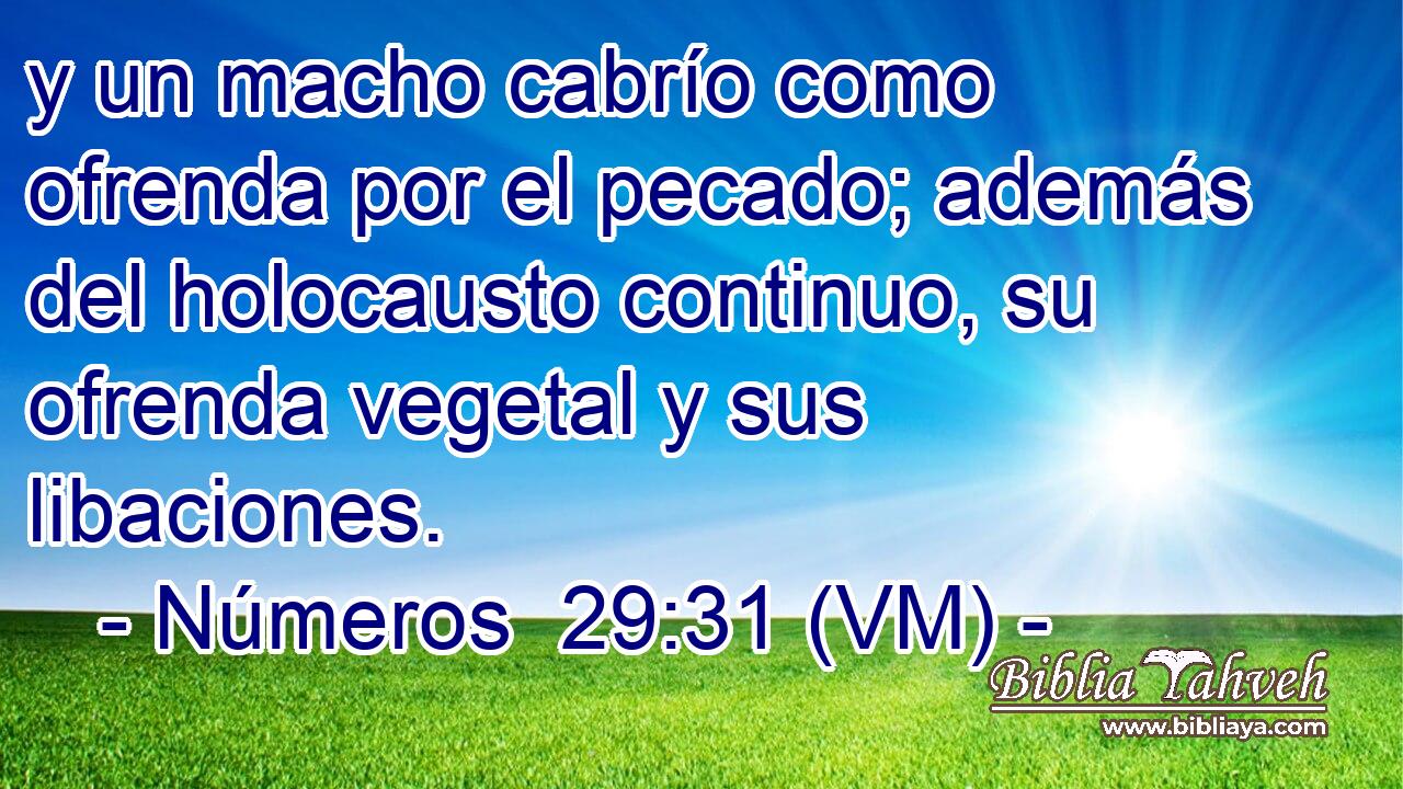  y un macho cabrío como ofrenda por el pecado; además del holocausto continuo, su ofrenda vegetal y sus libaciones. 