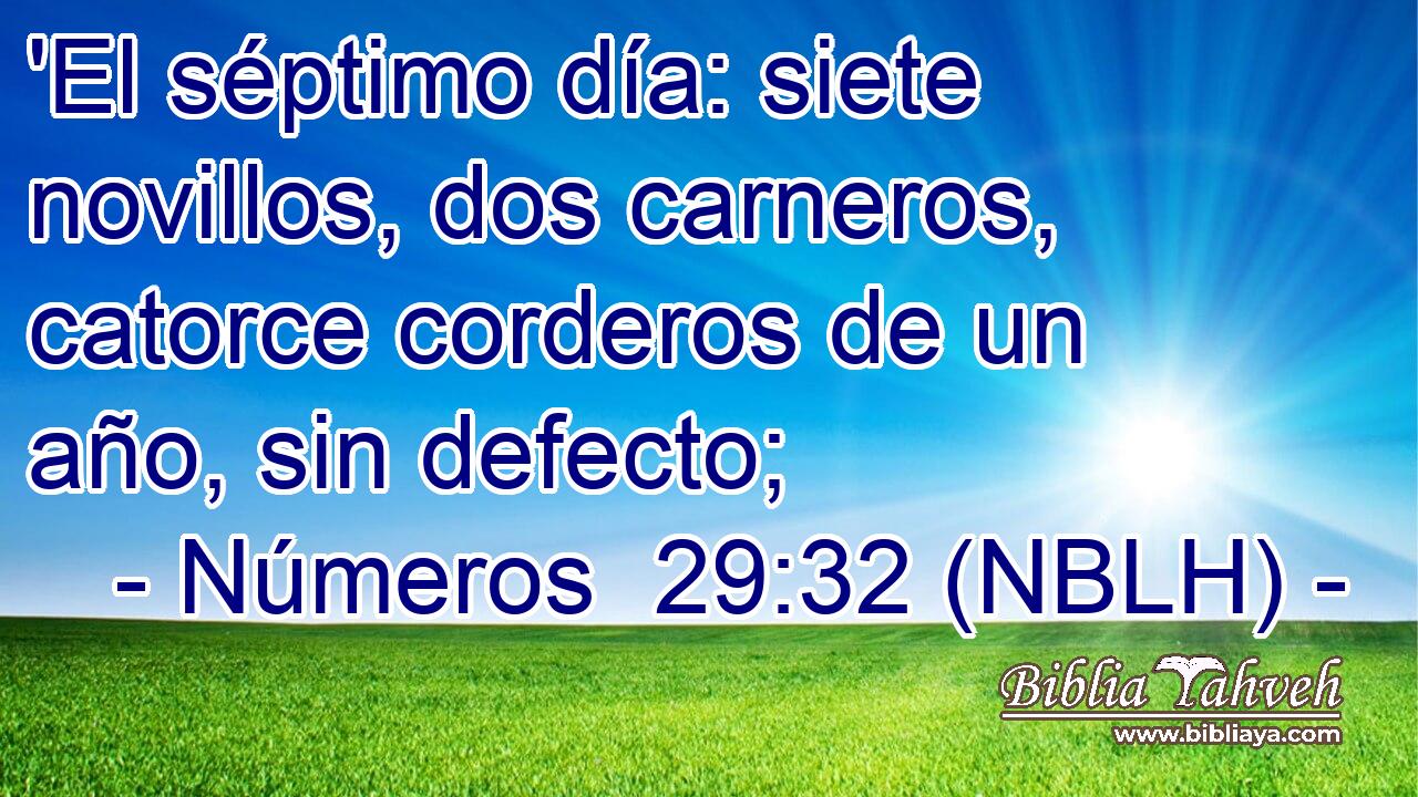  'El séptimo día: siete novillos, dos carneros, catorce corderos de un año, sin defecto; 