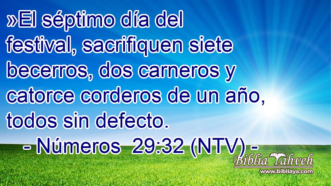 »El séptimo día del festival, sacrifiquen siete becerros, dos carneros y catorce corderos de un año, todos sin defecto.