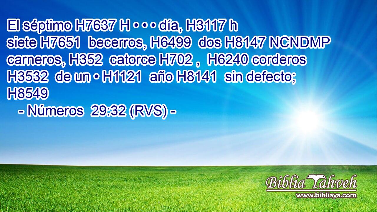 El séptimo H7637 H • • • día, H3117 h siete H7651  becerros, H6499  dos H8147 NCNDMP carneros, H352  catorce H702 ,  H6240 corderos H3532  de un • H1121  año H8141  sin defecto; H8549  