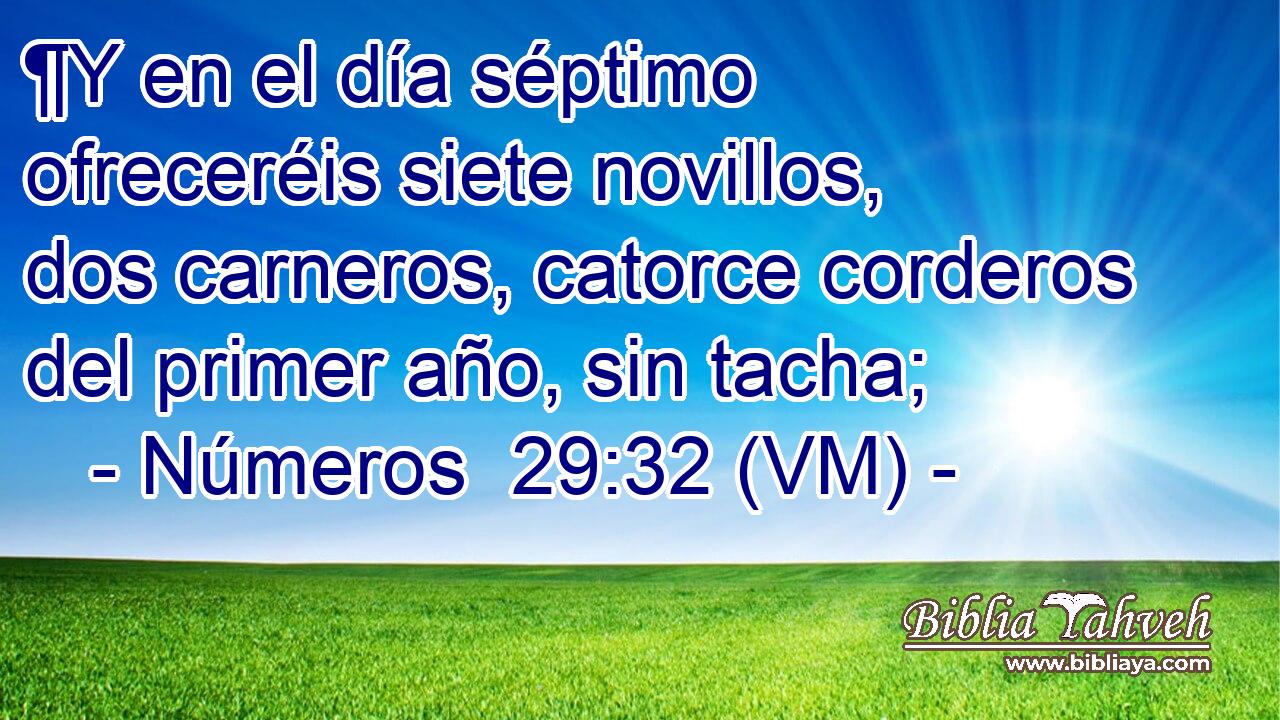  ¶Y en el día séptimo ofreceréis siete novillos, dos carneros, catorce corderos del primer año, sin tacha; 