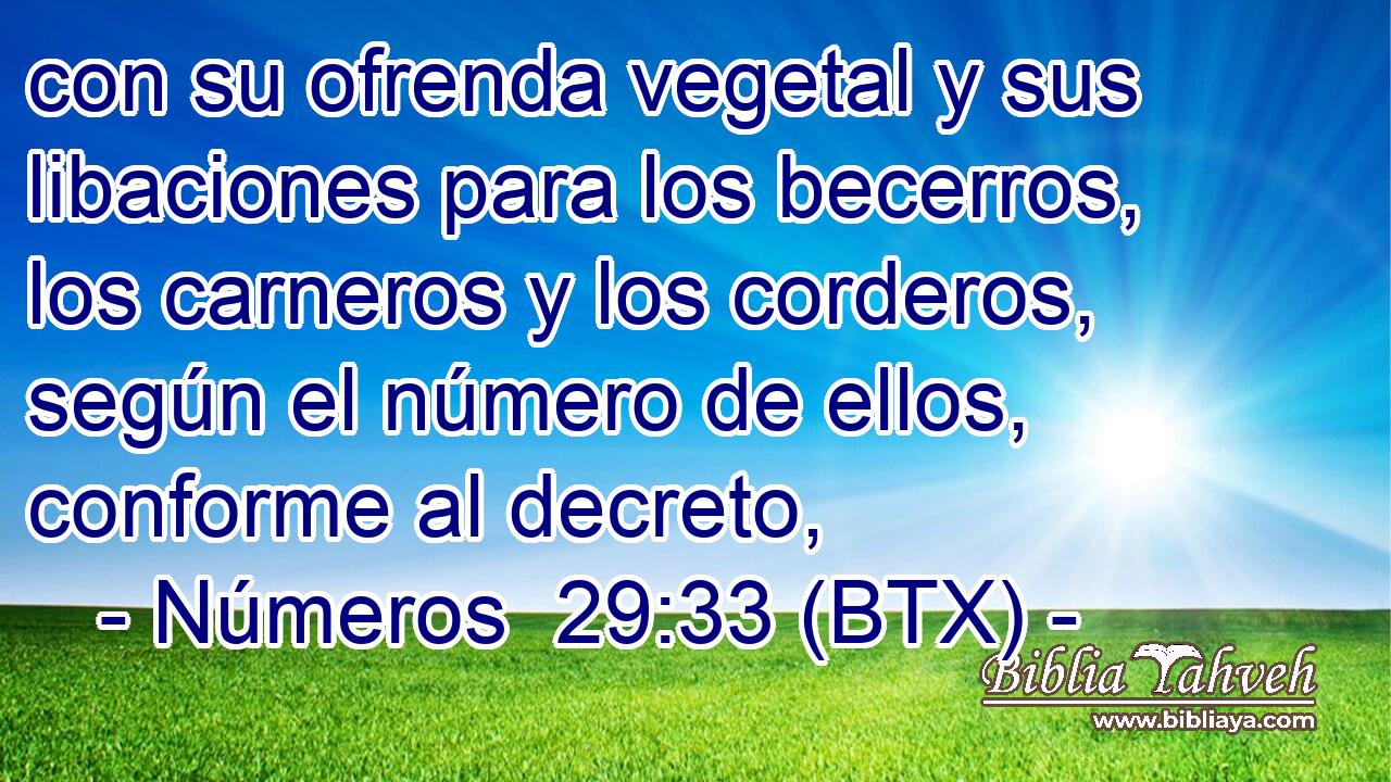 con su ofrenda vegetal y sus libaciones para los becerros, los carneros y los corderos, según el número de ellos, conforme al decreto,