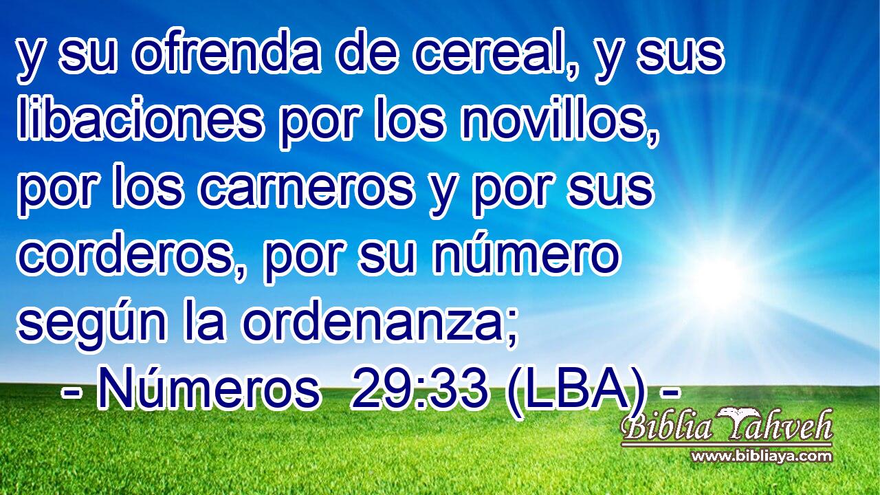 y su ofrenda de cereal, y sus libaciones por los novillos, por los carneros y por sus corderos, por su número según la ordenanza;