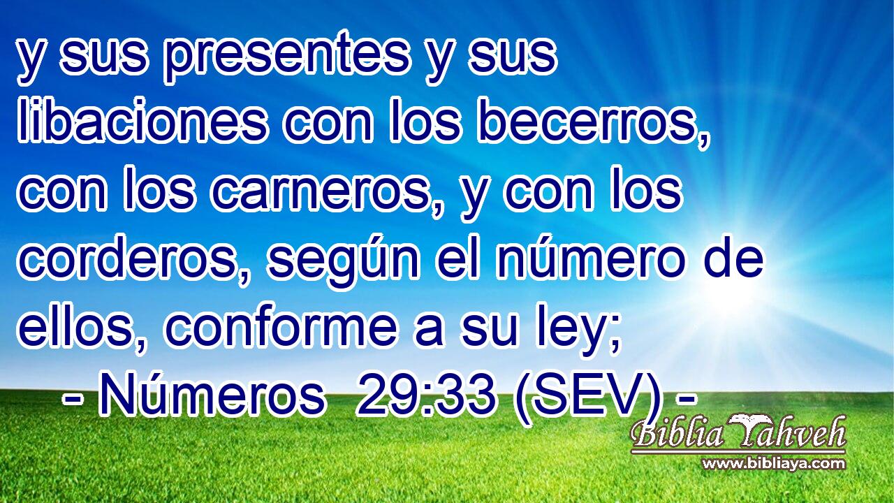 y sus presentes y sus libaciones con los becerros, con los carneros, y con los corderos, según el número de ellos, conforme a su ley;