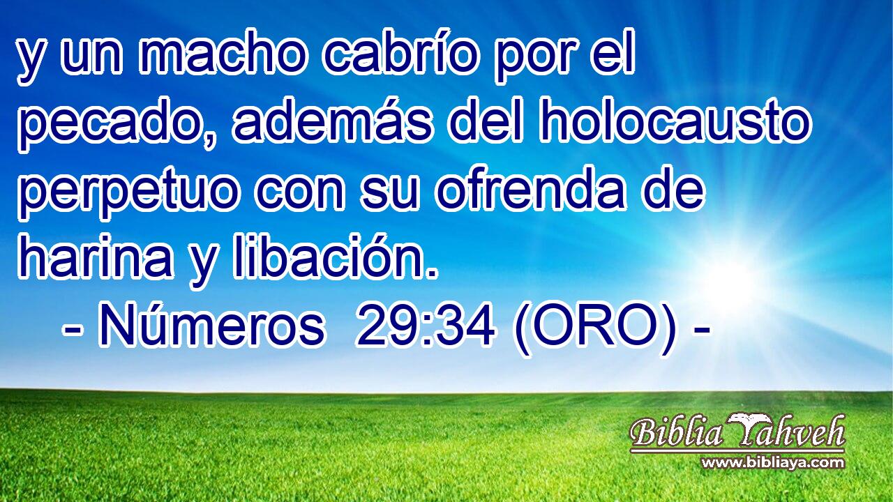  y un macho cabrío por el pecado, además del holocausto perpetuo con su ofrenda de harina y libación. 