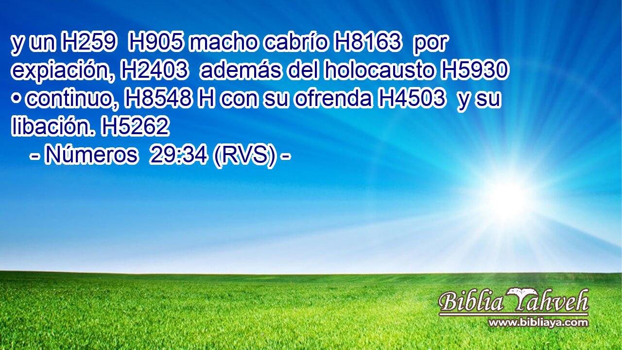 y un H259  H905 macho cabrío H8163  por expiación, H2403  además del holocausto H5930  • continuo, H8548 H con su ofrenda H4503  y su libación. H5262  
